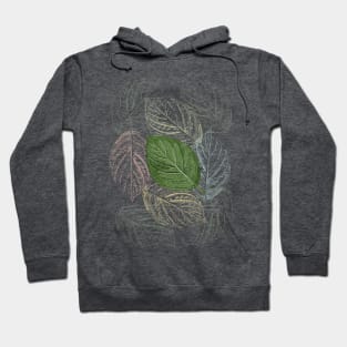 Composition with overlapping leaves Hoodie